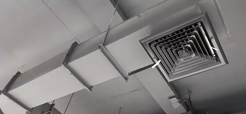 Our Pest Removal From Ducts Services in Forrest City, AR