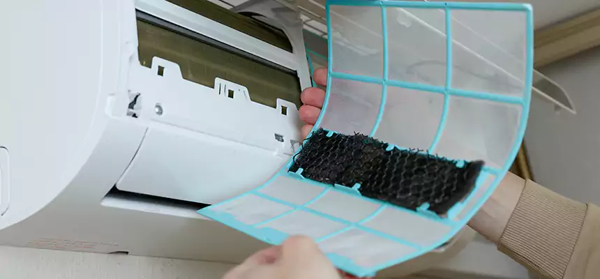 Gentle Ductwork Odor-Control Pet Dander Duct Cleaning in Forrest City, AR