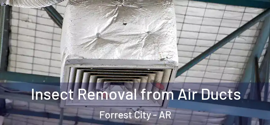  Insect Removal from Air Ducts Forrest City - AR