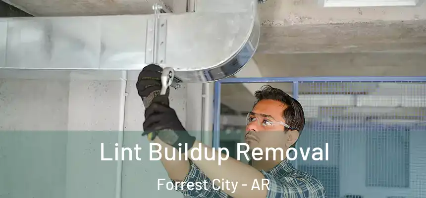  Lint Buildup Removal Forrest City - AR