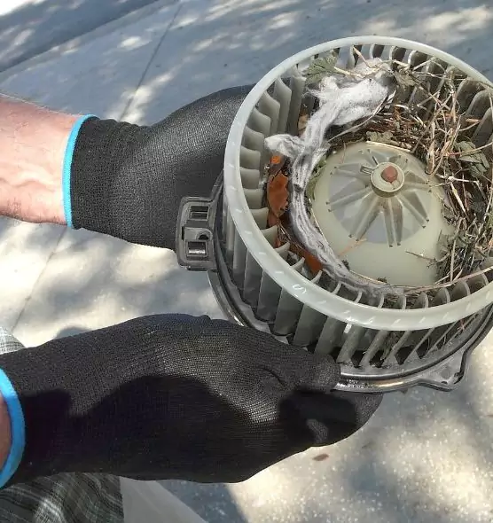 About Air Duct Mice Removal in Forrest City, AR