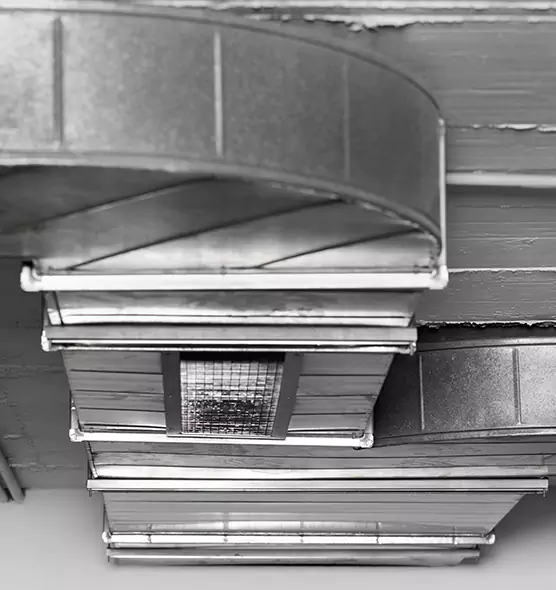 Professional Air Duct Pet Hair Removal in Forrest City, AR