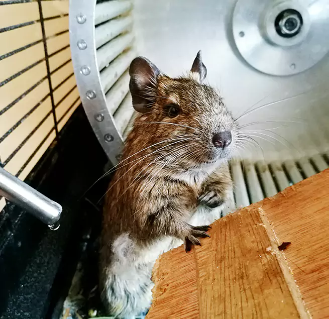 Why Homeowners & Businesses Trust Us Forrest City, AR