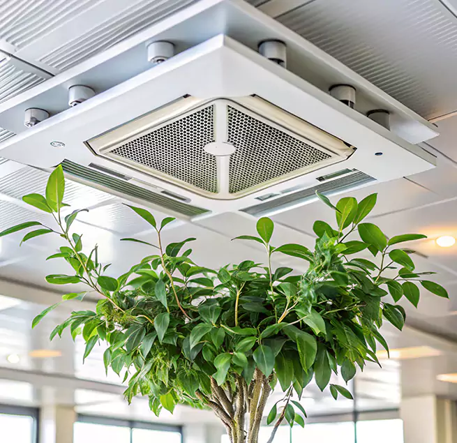 Why Homeowners & Businesses Trust Us in Forrest City, AR?